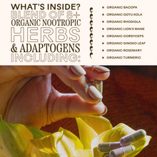 Load image into Gallery viewer, Brain Bloom