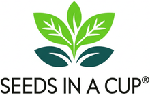 Load image into Gallery viewer, Thyme | Plant Seed Starter Grow Kit | Seeds In A Cup®