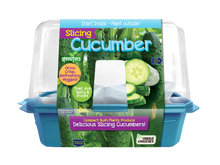 Load image into Gallery viewer, Slicing Cucumbers Sprouter Terrarium