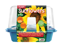 Load image into Gallery viewer, Dwarf Sunflowers Sprouter Terrarium