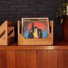 Load image into Gallery viewer, The Cube : 12" Vinyl Storage Crate
