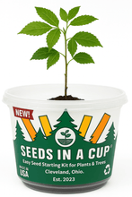 Load image into Gallery viewer, Oregano | Plant Seed Starter Grow Kit | Seeds In A Cup®
