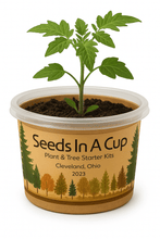 Load image into Gallery viewer, Oregano | Plant Seed Starter Grow Kit | Seeds In A Cup®
