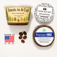 Load image into Gallery viewer, Oregano | Plant Seed Starter Grow Kit | Seeds In A Cup®
