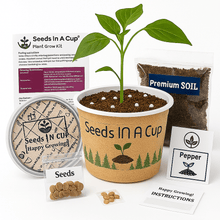 Load image into Gallery viewer, Sunflower | Plant Seed Starter Grow Kit | Seeds In A Cup®

