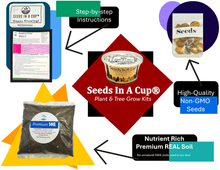 Load image into Gallery viewer, Oregano | Plant Seed Starter Grow Kit | Seeds In A Cup®

