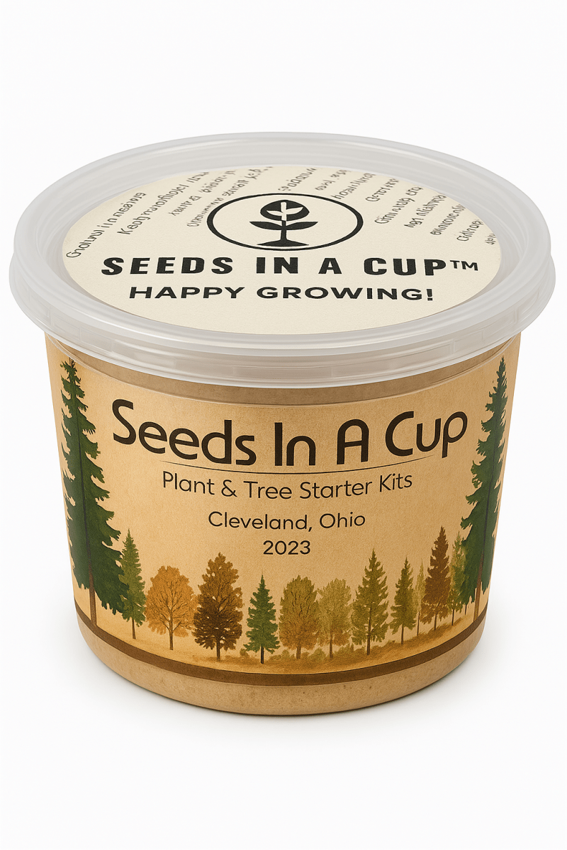 Sunflower | Plant Seed Starter Grow Kit | Seeds In A Cup®